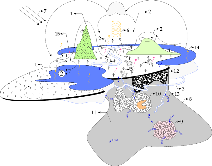 Ecosystems and their structural. Water clipart surface water