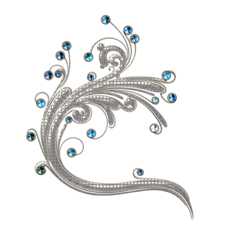 ornaments clipart jewellery model