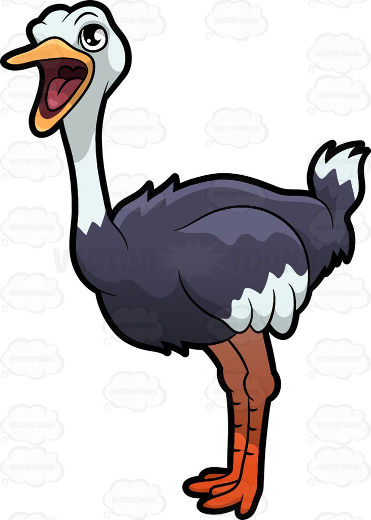 Ostrich clipart animated. Free download best 
