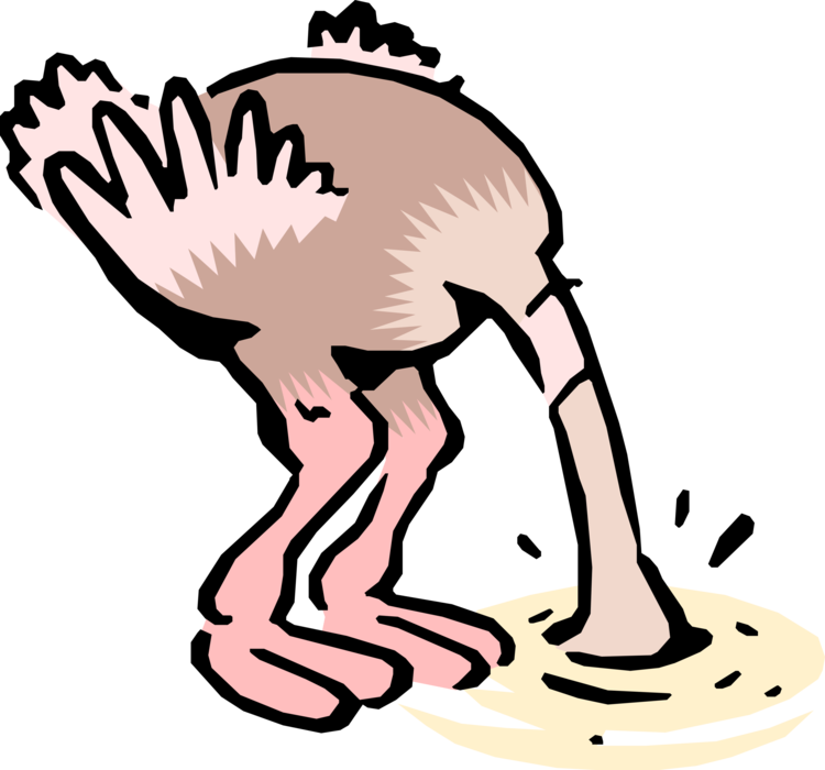 ostrich clipart bird african