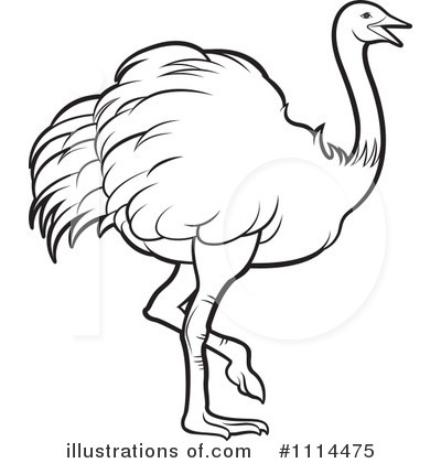 ostrich clipart black and white