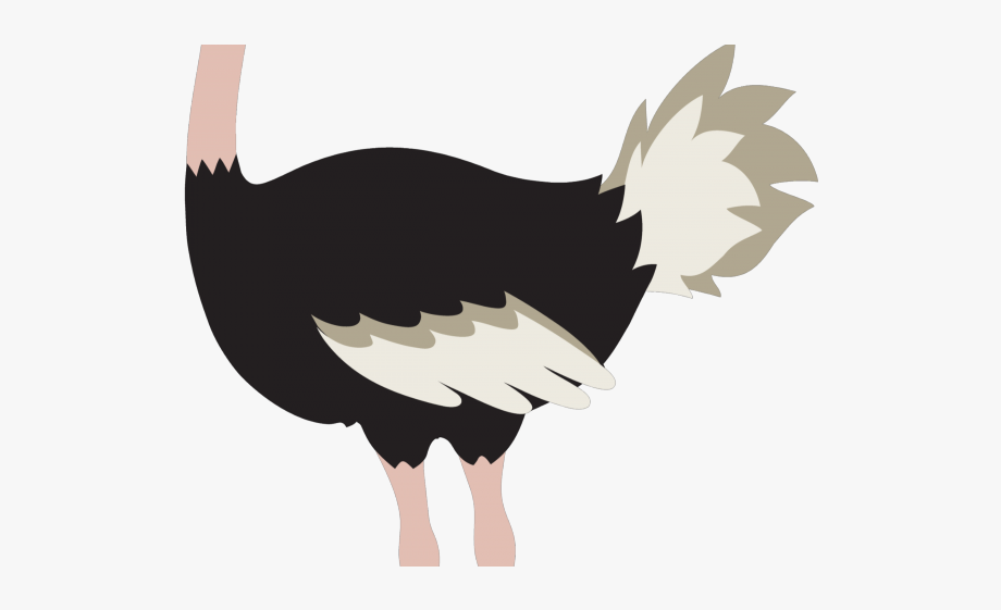 ostrich clipart cartoon