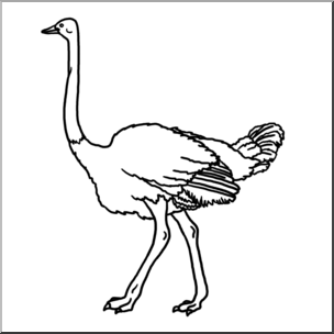 ostrich clipart clip art