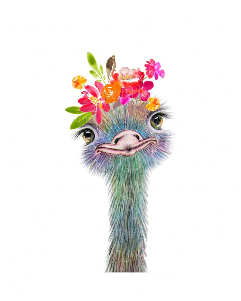 ostrich clipart cute