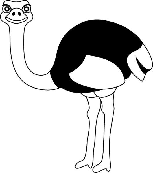 Black and white letters. Ostrich clipart drawing