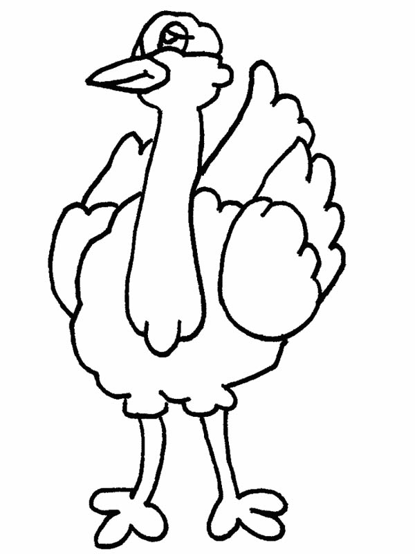 Ostrich clipart drawing. For kids clip art
