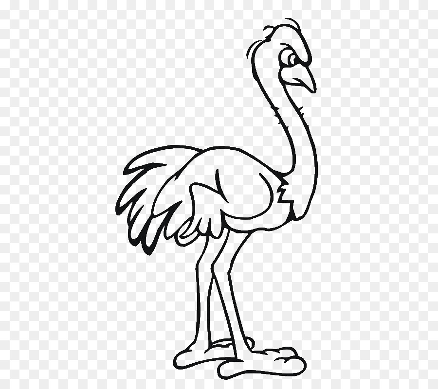 Book black and white. Ostrich clipart drawing