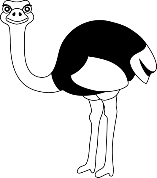  collection of black. Ostrich clipart easy draw