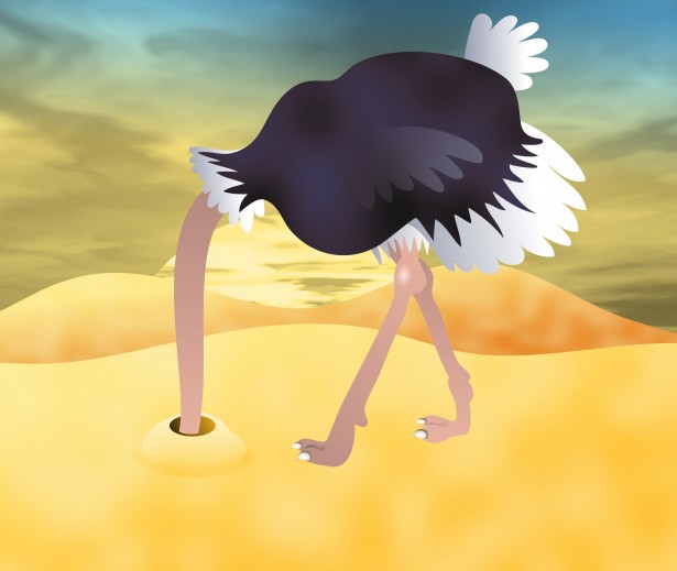 Ostrich clipart ostrich head. Clip art free stock