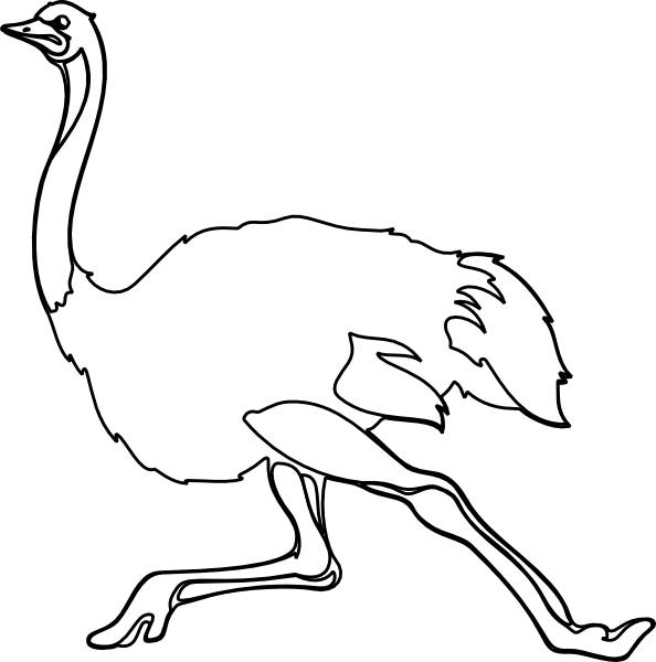 Ostrich clipart ostrich head. Outline clip art at