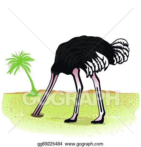 Ostrich clipart ostrich head. Vector illustration hides its