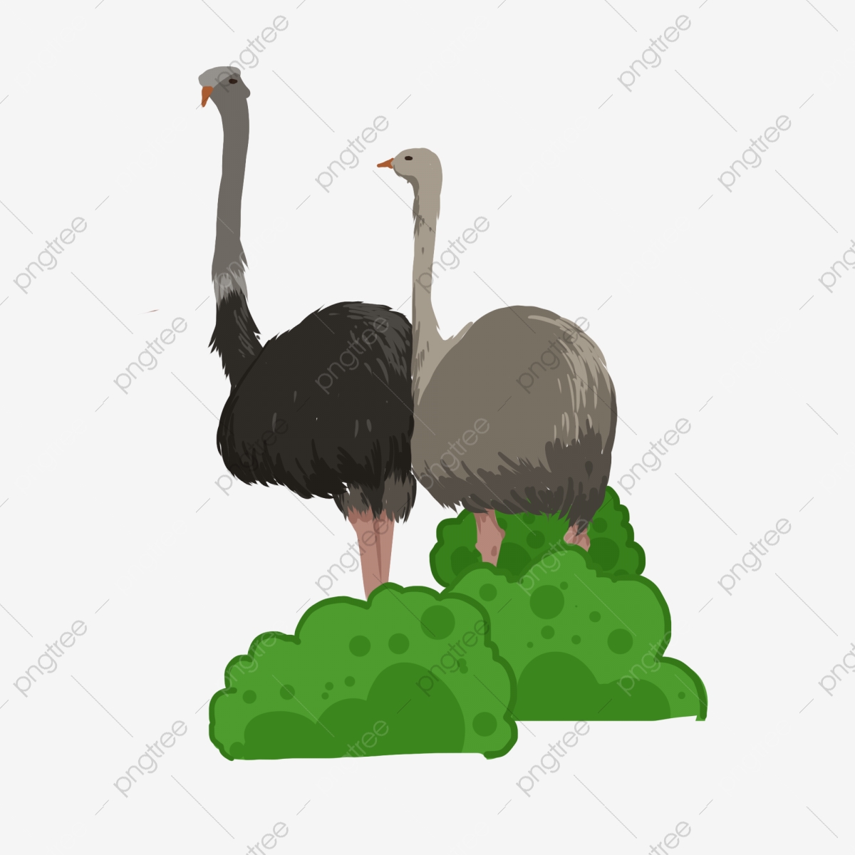 Legs fairy tale material. Ostrich clipart ostrich leg