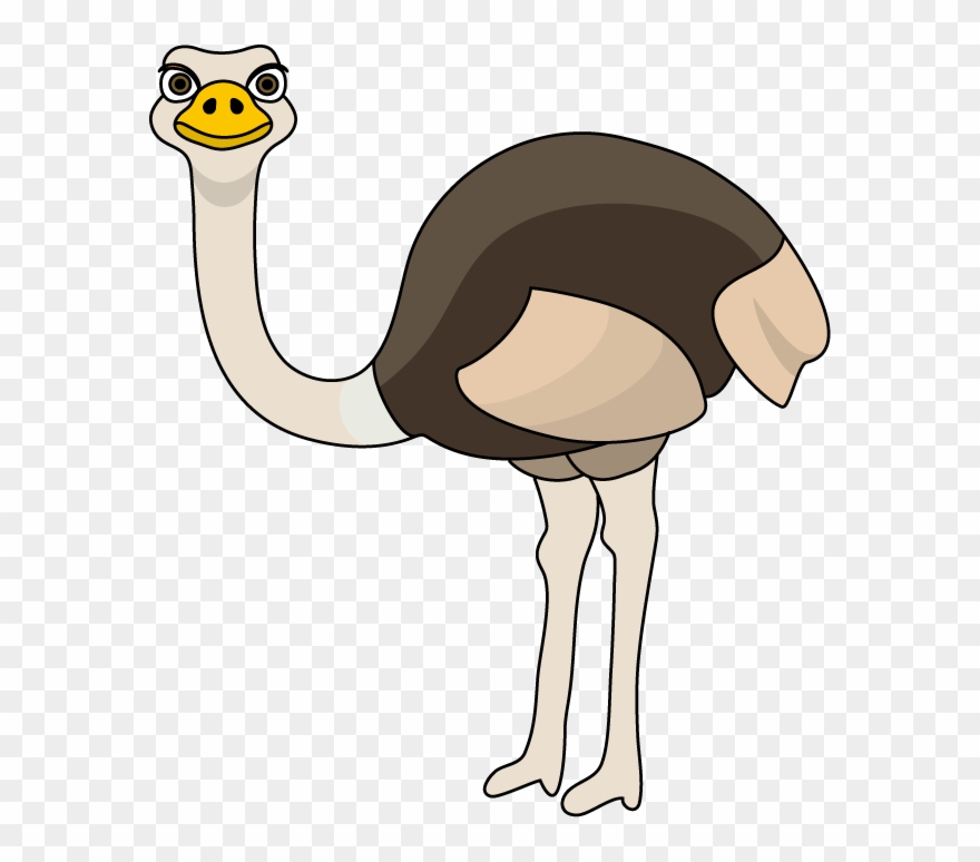 Royalty free png . Ostrich clipart ostrich leg