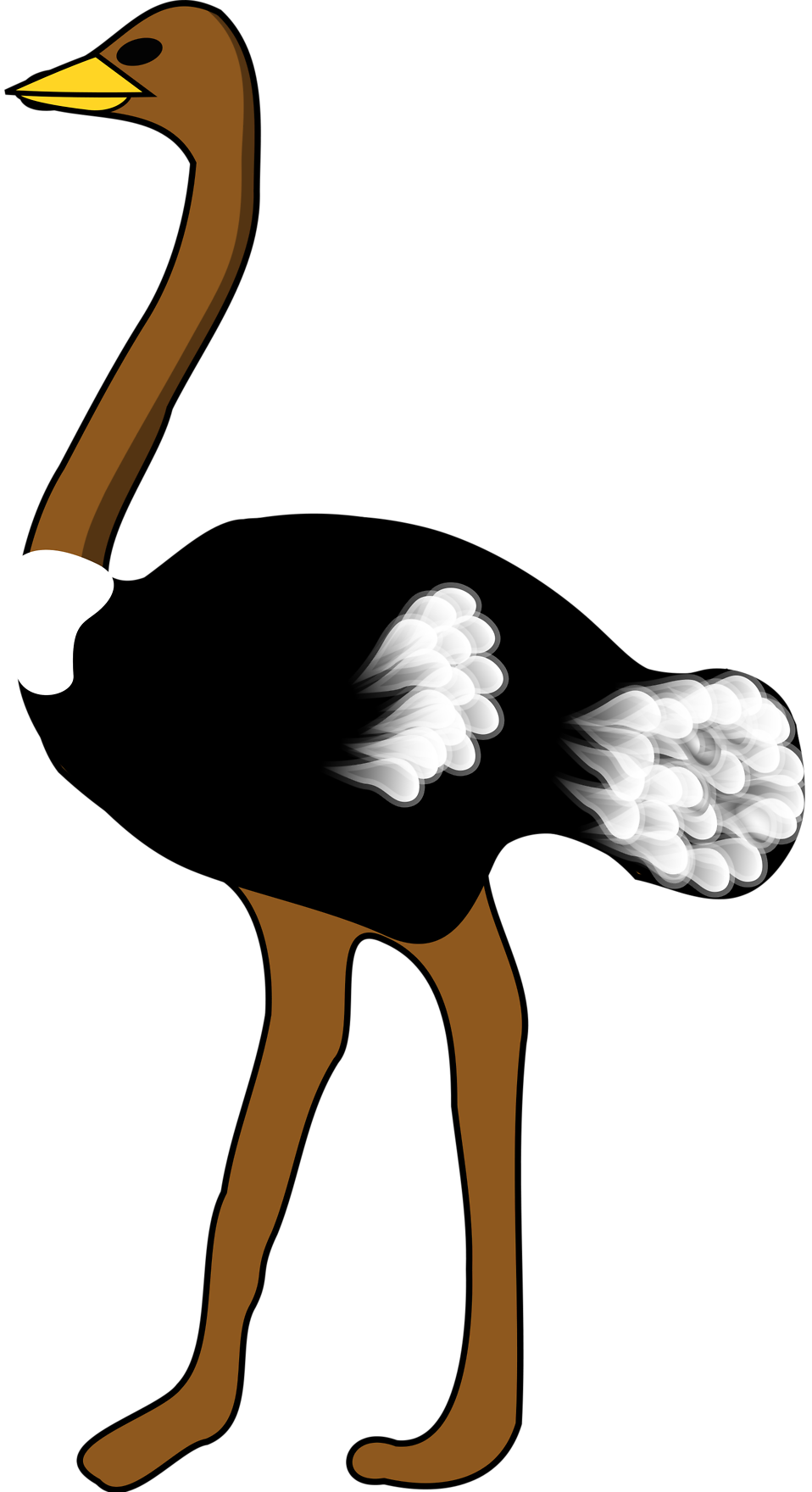 Ostrich clipart public domain. Free stock photo illustration