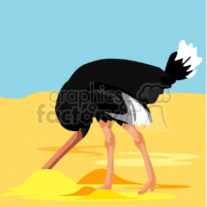 ostrich clipart sand