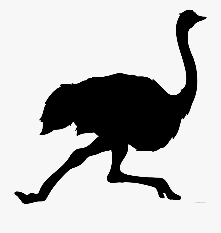 Ostrich clipart silhouette. Free cliparts 
