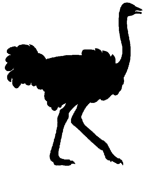 Ostrich clipart silhouette. Cliparts free download best