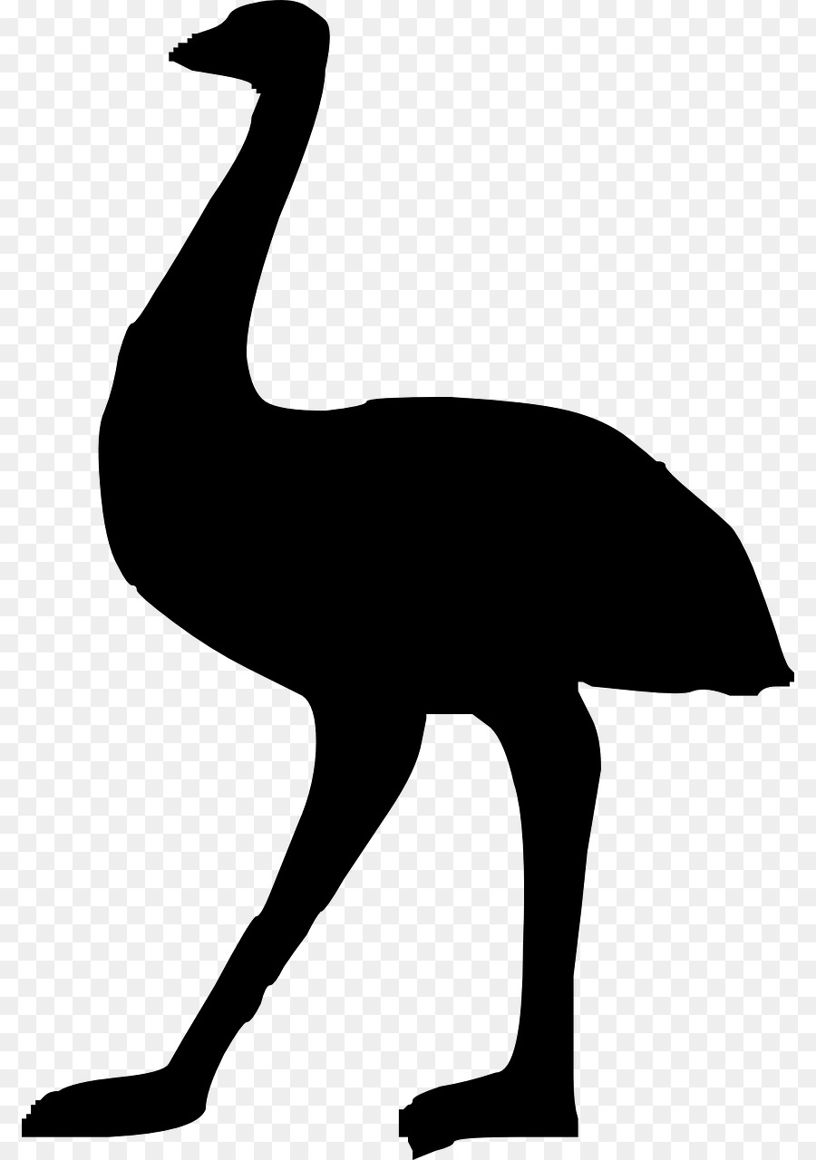Water background graphics bird. Ostrich clipart silhouette