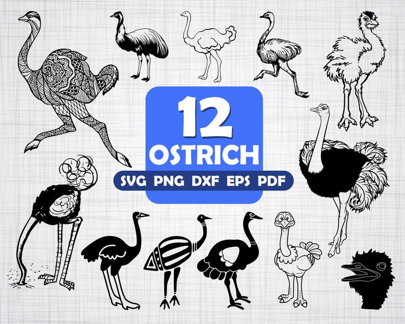 ostrich clipart svg