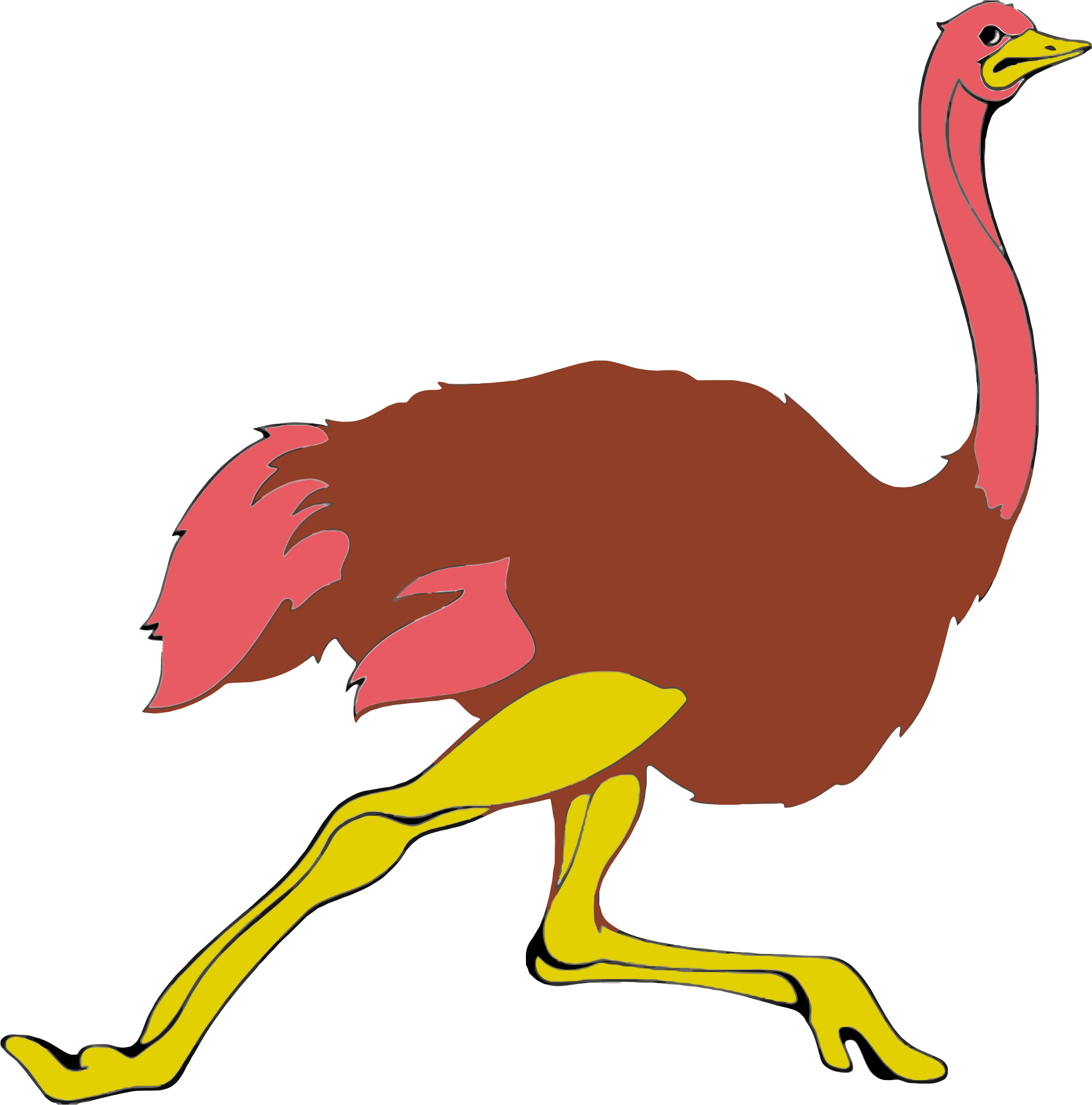 Running big image png. Ostrich clipart svg