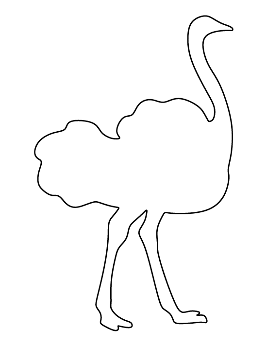 ostrich clipart tall animal