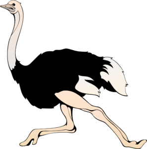 Running clip art at. Ostrich clipart vector