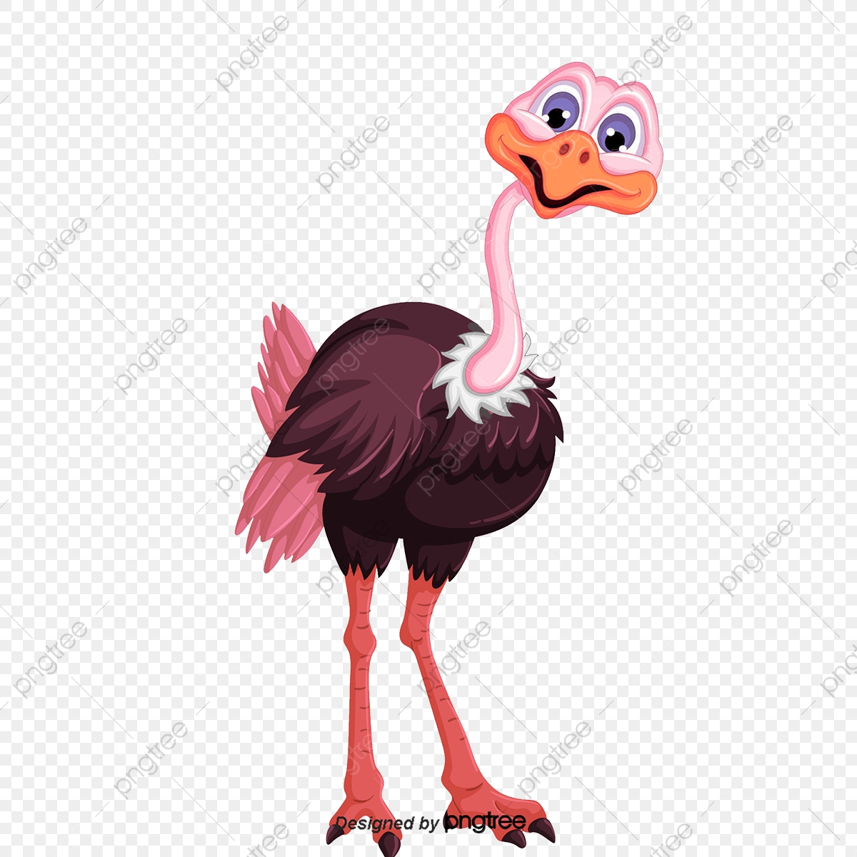 Animal png and . Ostrich clipart vector