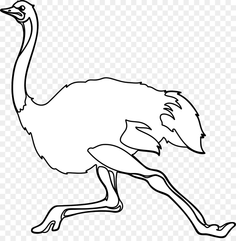 ostrich clipart white background