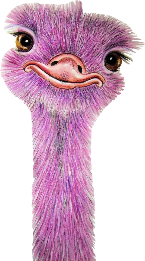 Popular and trending avestruz. Ostrich clipart ñandu