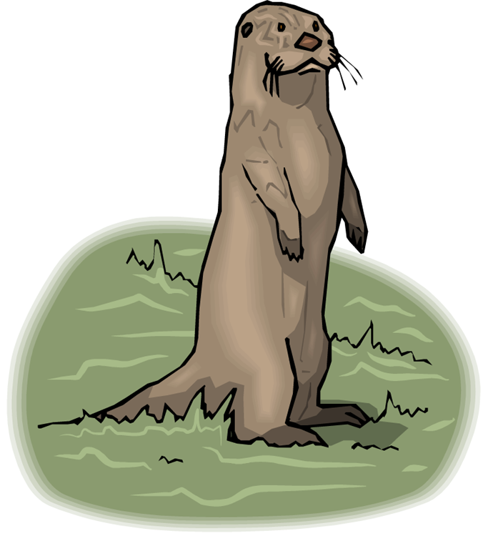 otter clipart cartoon