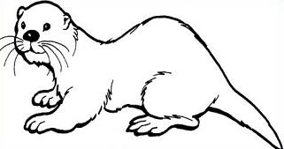 otter clipart coloring page