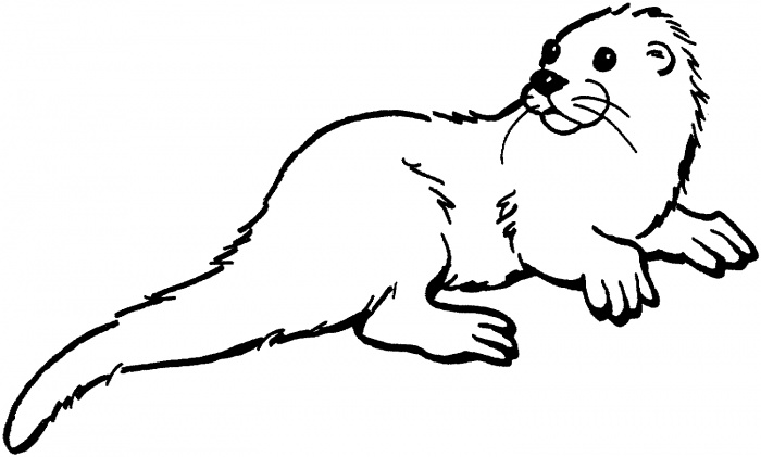 otter clipart drawn