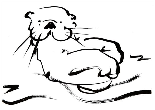 otter clipart line drawing