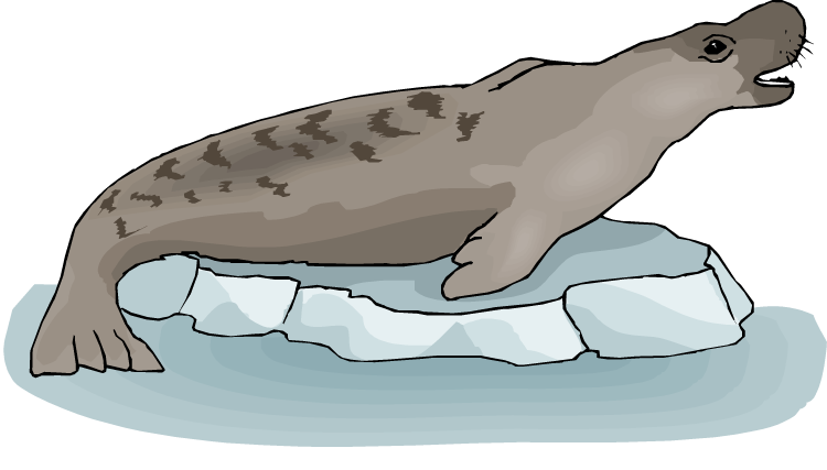 otter clipart mongoose