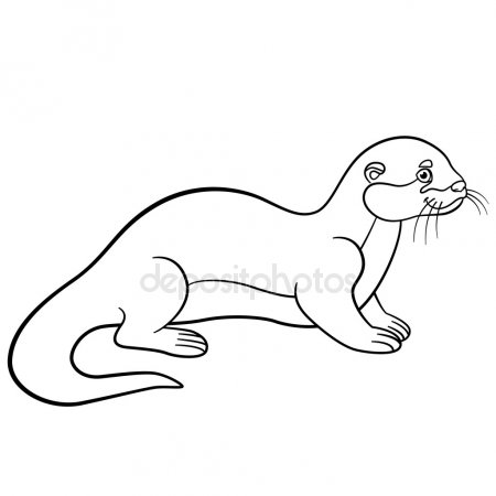 Download para colorear sea. Otter clipart nutria