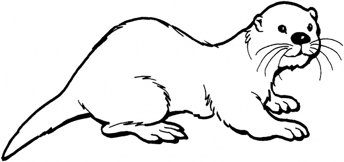 Otter clipart outlines. Free black and white