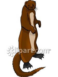 Brown panda free images. Otter clipart standing