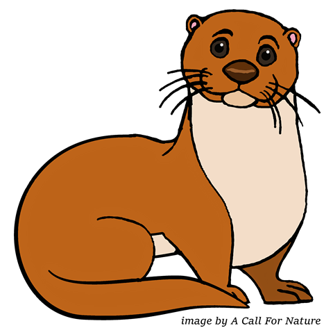 otter clipart weasel