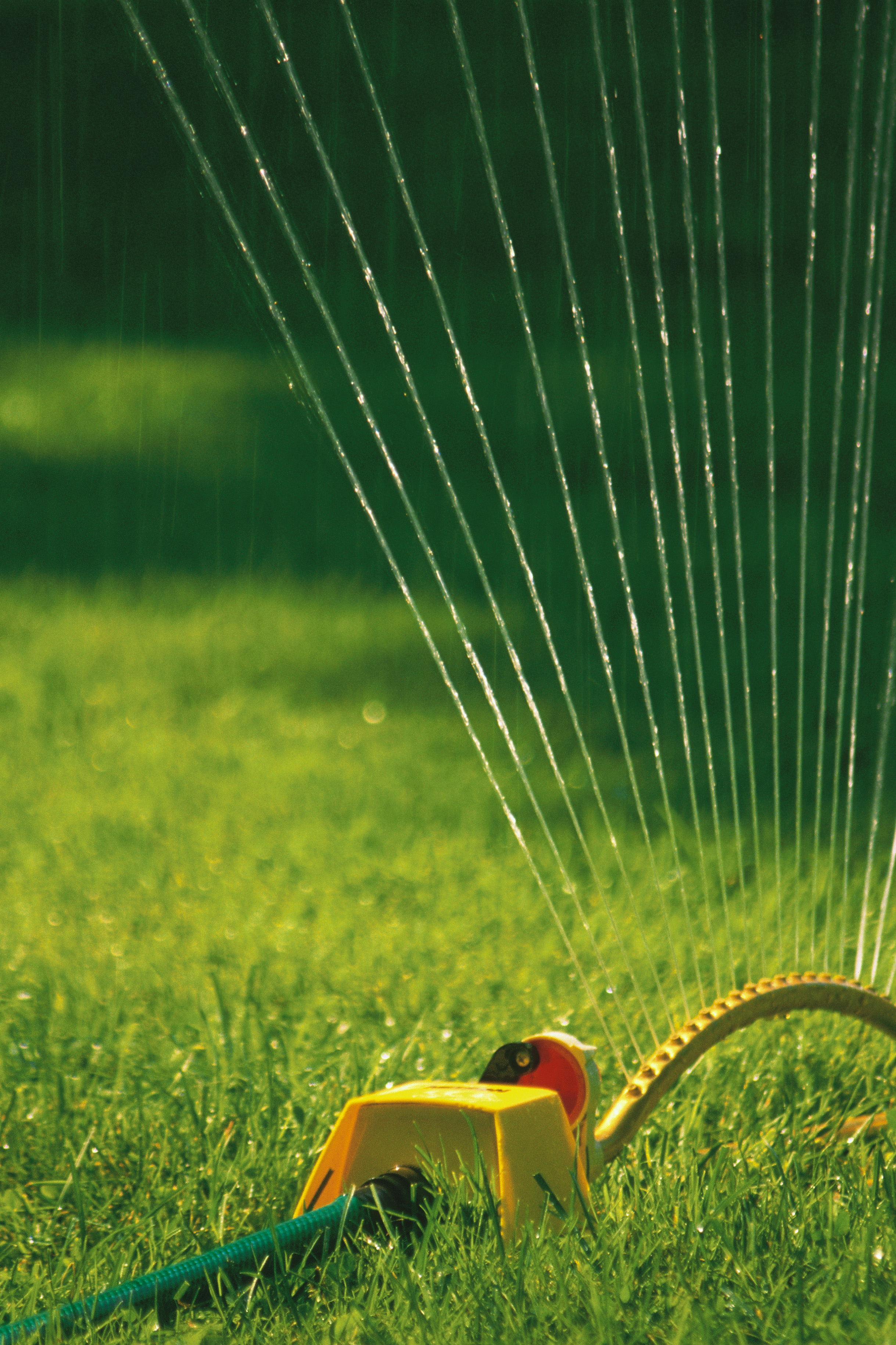 outdoors clipart grass water