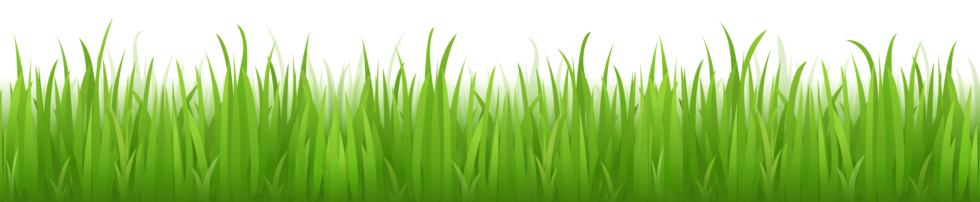 grass clipart row
