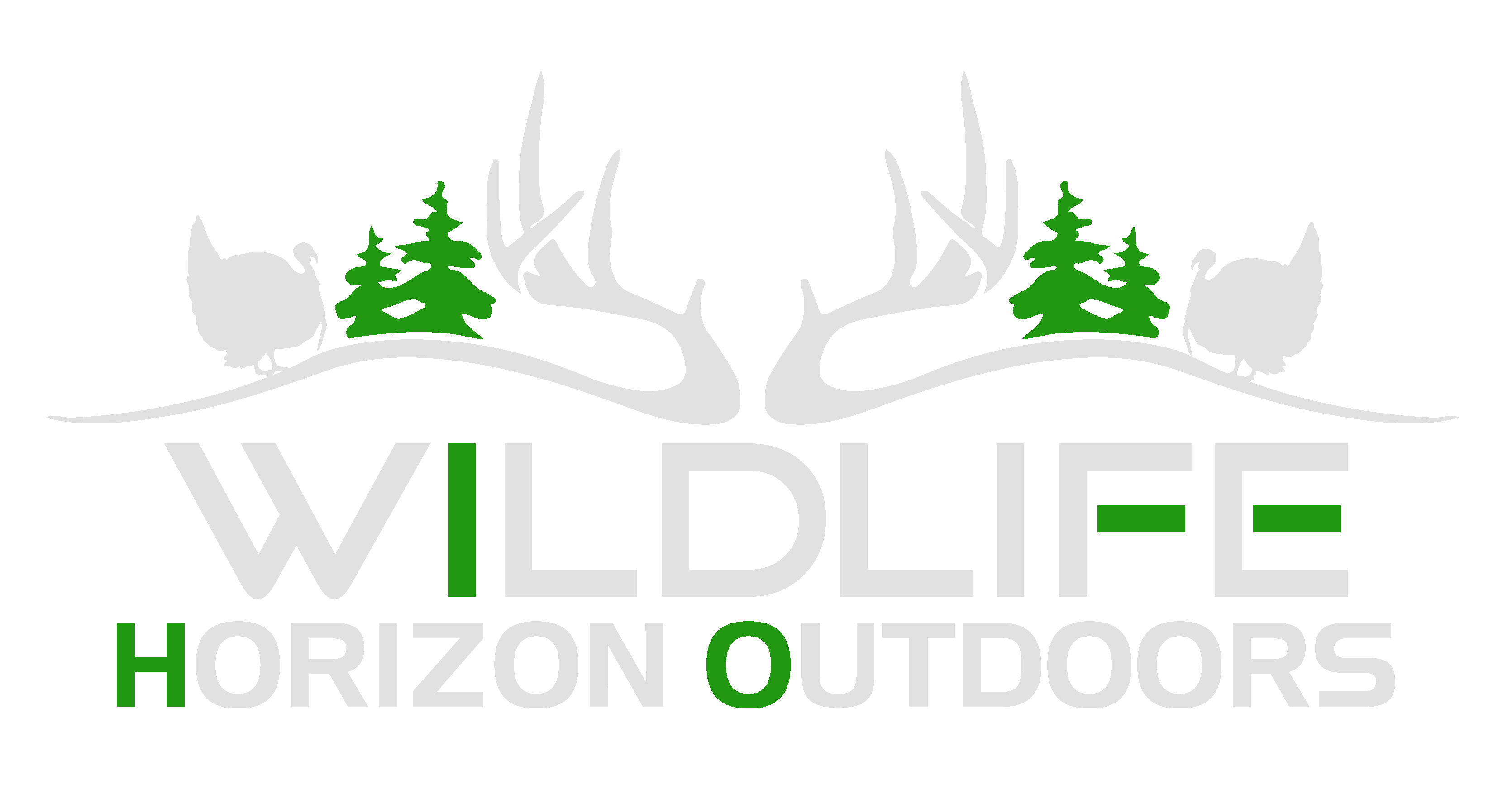 W h o tv. Outdoors clipart land plant