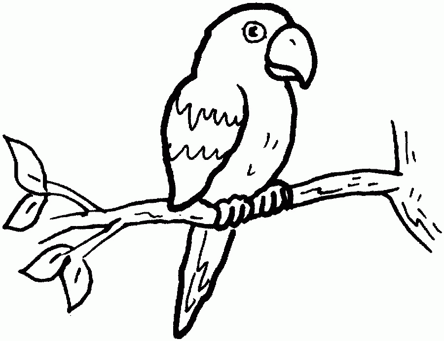 parrot clipart parrot outline