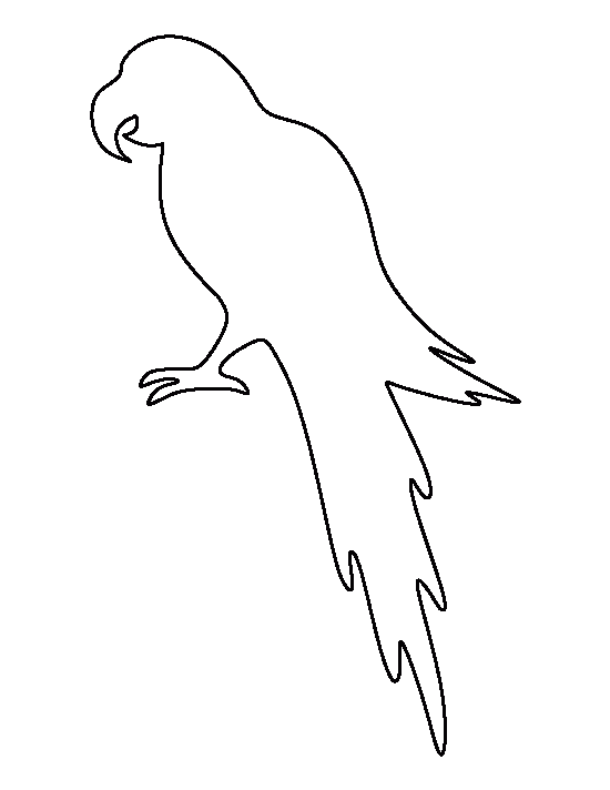 outline clipart parrot