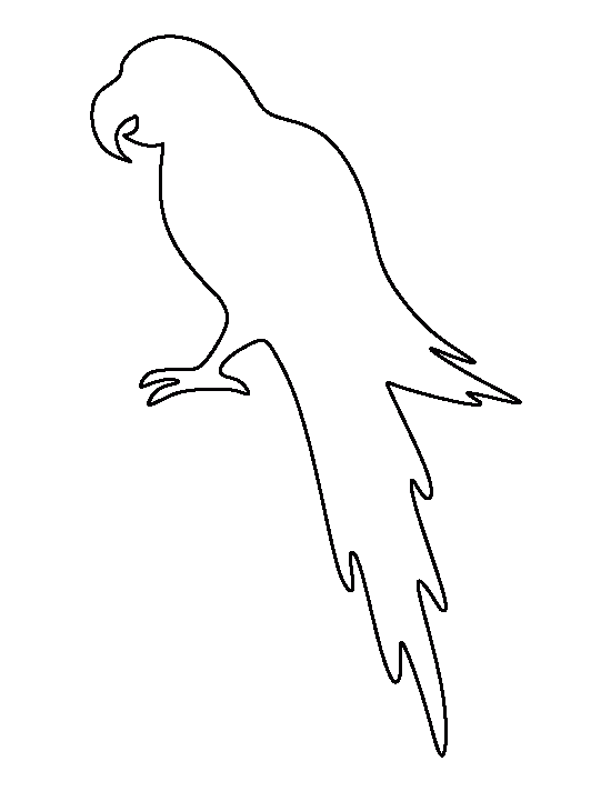 Parrot Clipart Parrot Outline Parrot Parrot Outline Transparent FREE