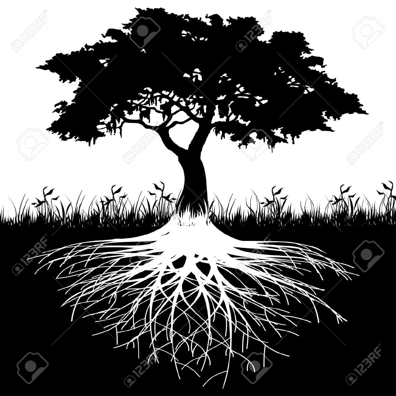 roots clipart simple