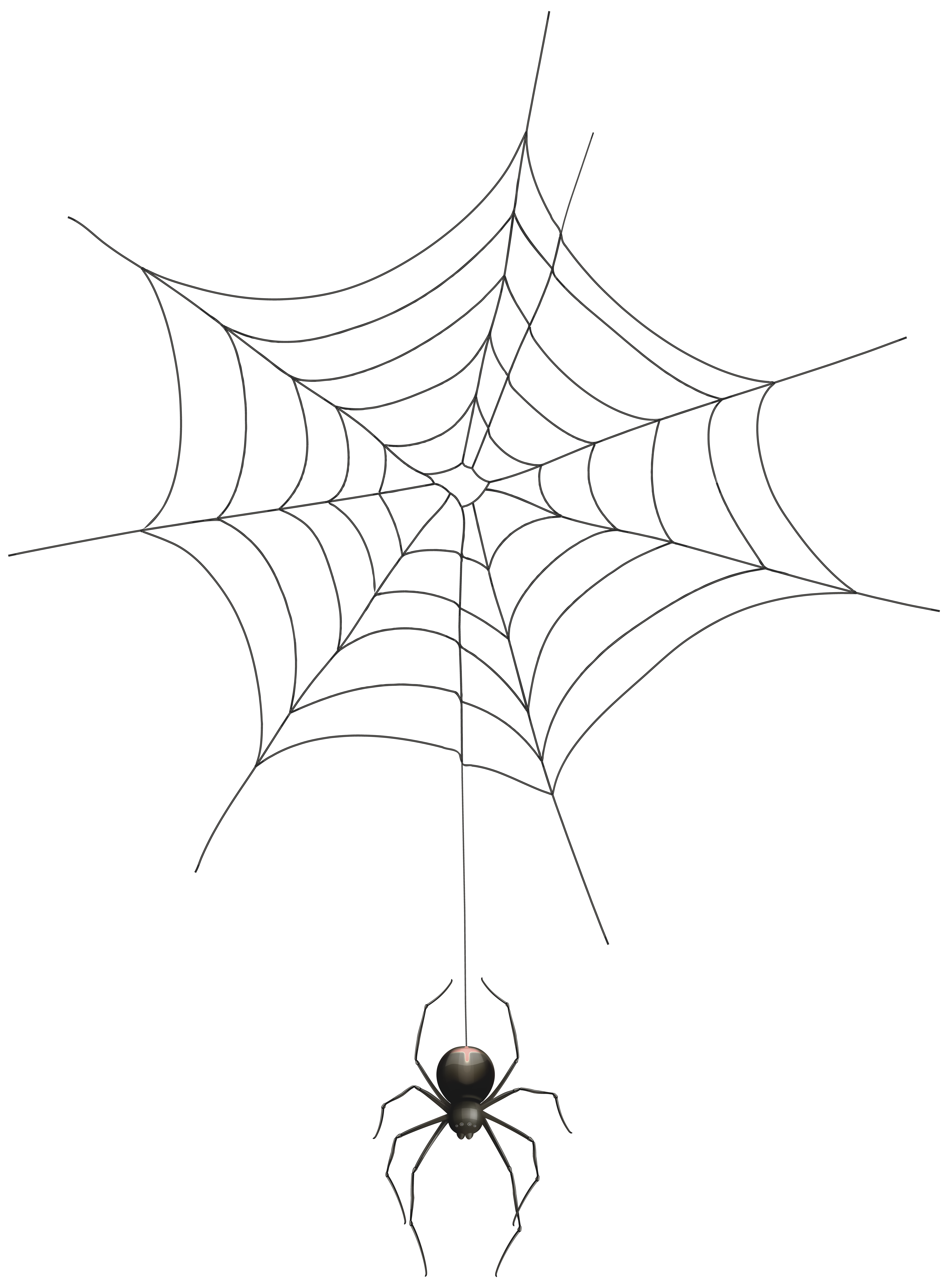 spiderweb clipart spide