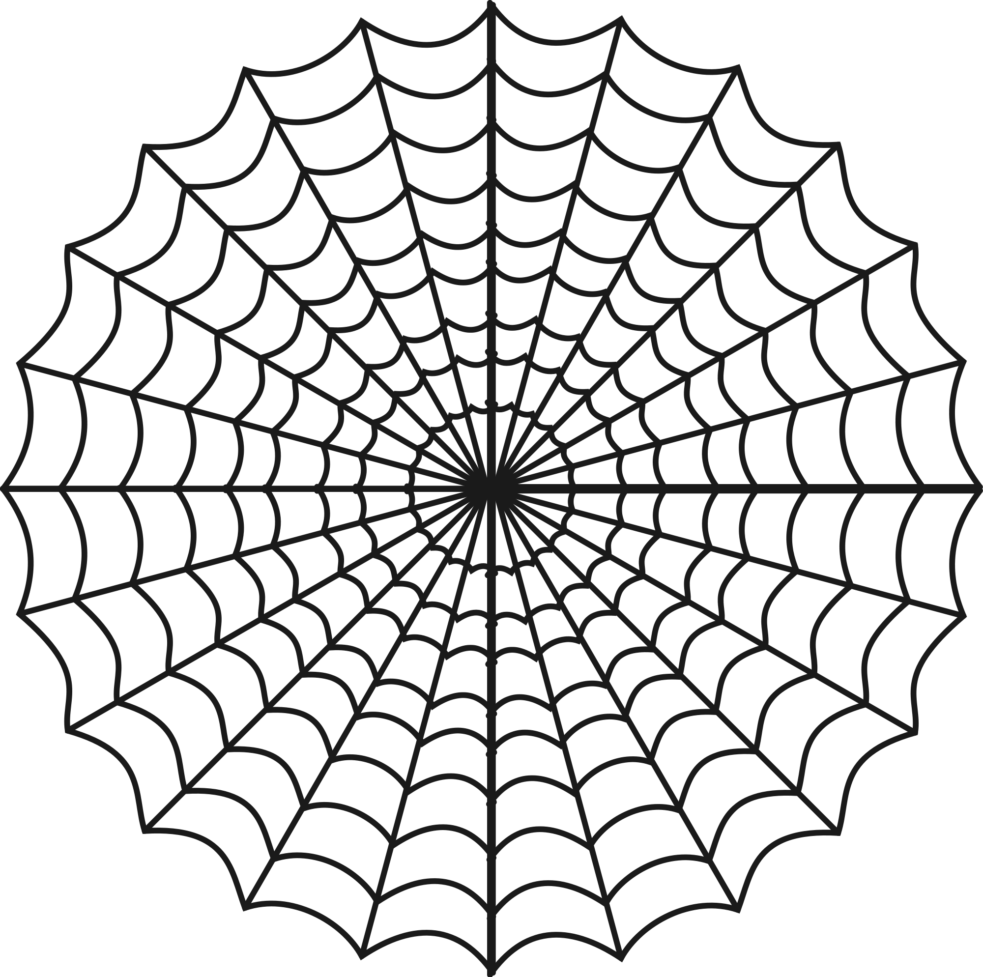 Spider spider silk