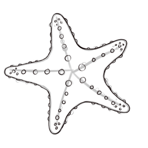 starfish clipart starfish outline