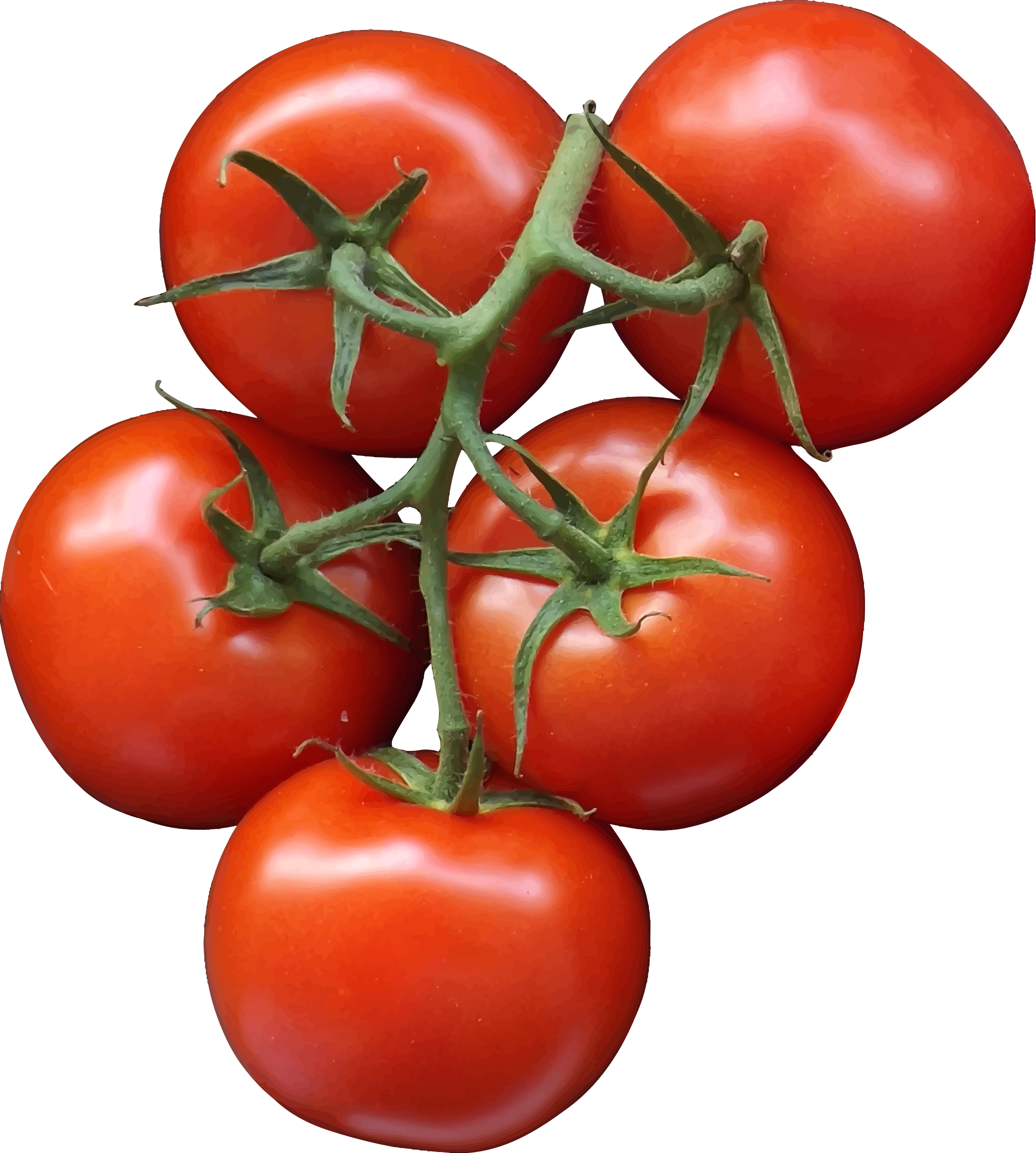 Tomatoes clipart happy tomato, Tomatoes happy tomato Transparent FREE