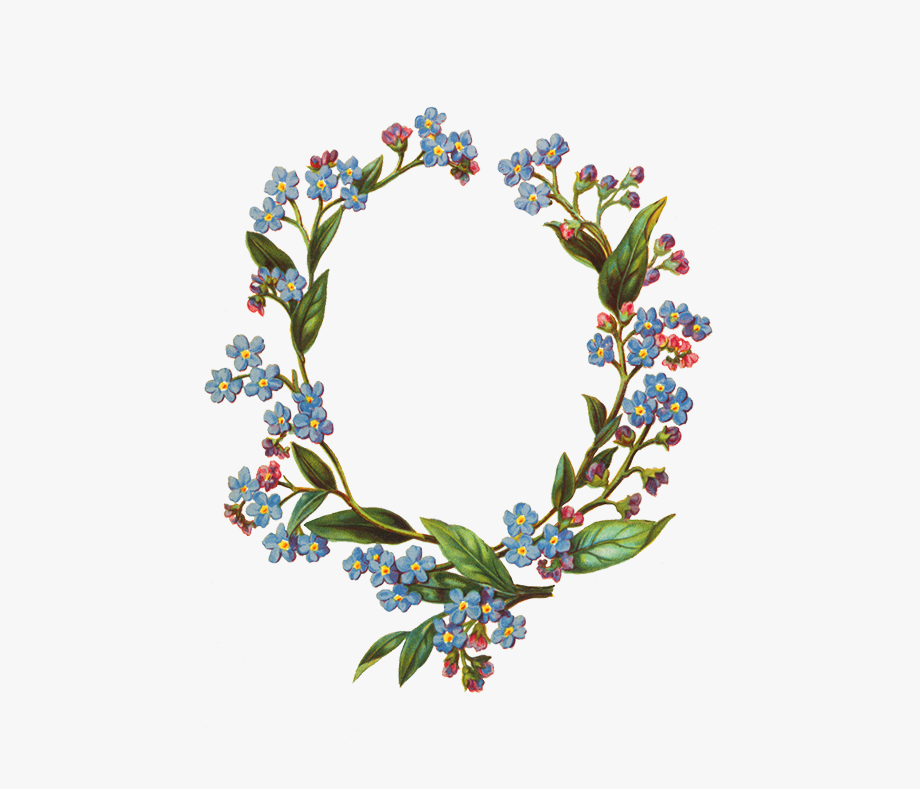 Oval clipart floral, Oval floral Transparent FREE for download on